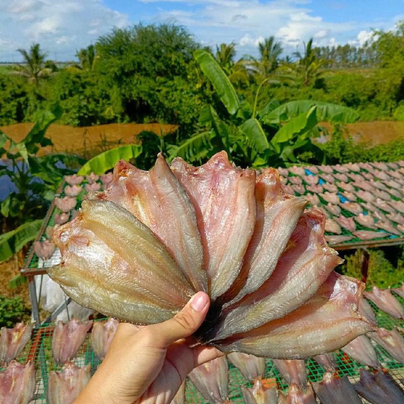 1KG KHÔ CÁ LÓC MIẾNG Size 15-30 con HÀNG 3 NẮNG 1kg miếng