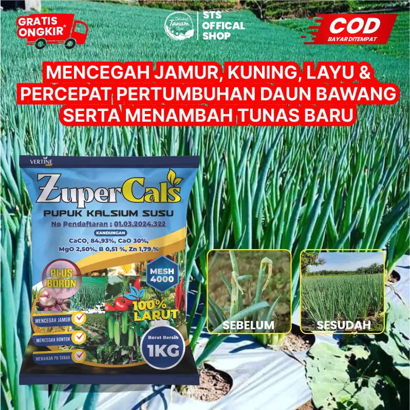 Zupercals Pupuk Pelebat Daun Bawang, Perbesar Daun, Kalsium+Boron Percepat Pertumbuhan Tunas Baru Anti Kuning Dan Anti Hama Penyakit Kemasan 1KG 0