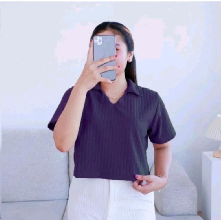 Kaos Atasan Wanita Lengang Pendek Crop Top Polo Rib Knit Hornet Premium Terlaris 2
