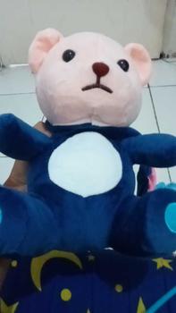 Product Review of Boneka teddy bear cosplay stich lotso dinosourus rabbit panda maenan anak from Z** p**t 0