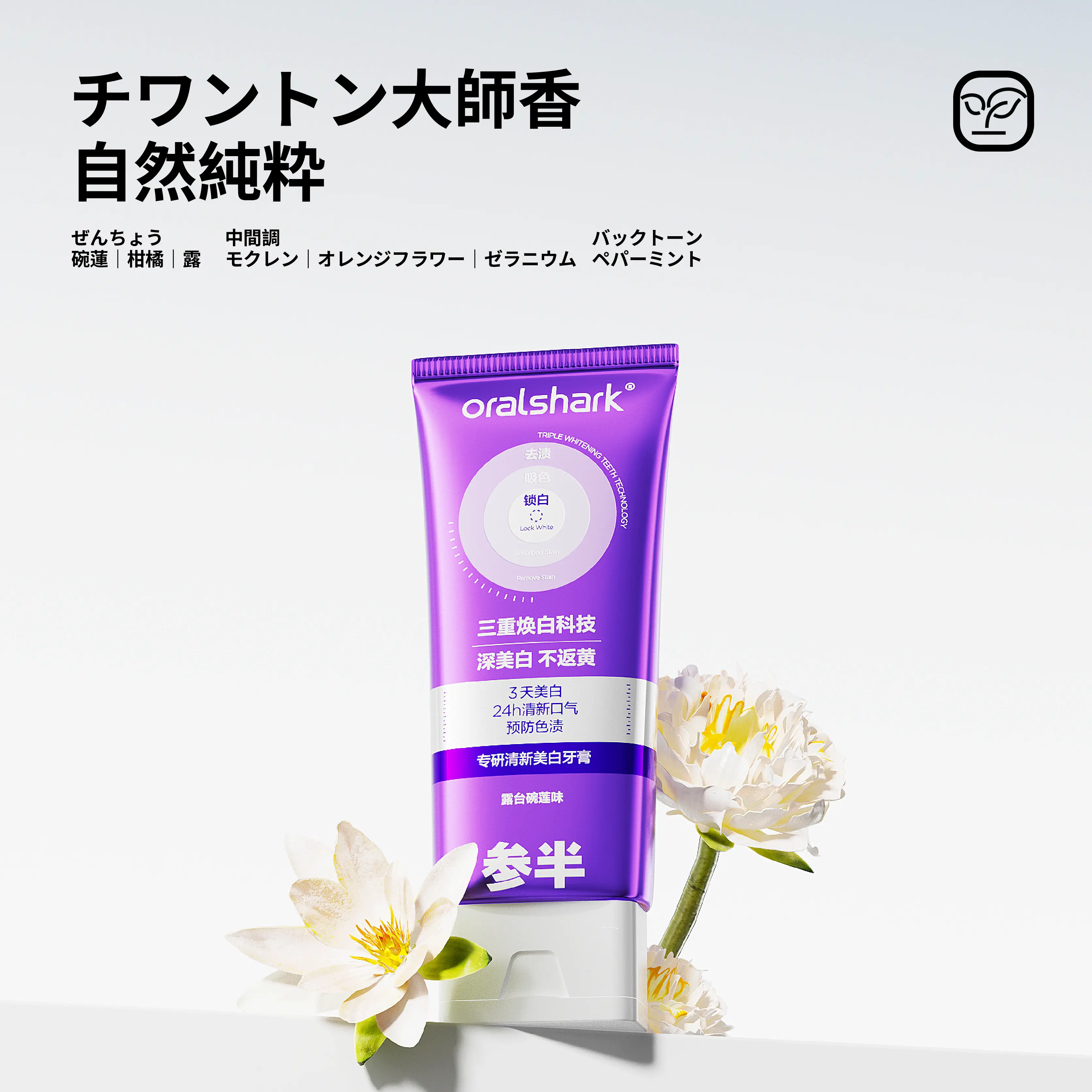 薬用美白洗顔 瑠石 50g 特別価格 ～申し込みハガキ～ 限定】Canban参半 美白・黄ばみ対策歯磨き粉（露台碗蓮の香り