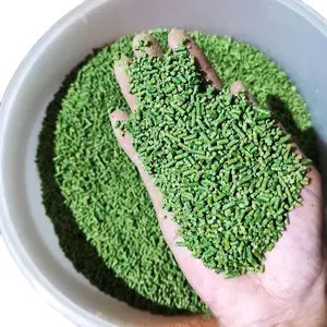 Pakan Burung Voer Hijau 1 kg untuk Burung Kicauan Trucuk Murai Batu Kacer Cucak Rowo Jalak Beo