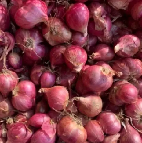 Bawang merah sedang kering 1kg bumbu masak 1