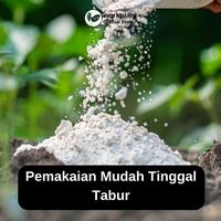 Gambar Workplant - Fungi Powder Fungisida Serbuk Anti Jamur & Anti Busuk Akar Untuk Semua Jenis Tanaman Hias dari workplant official Kota Surabaya 4 Tokopedia
