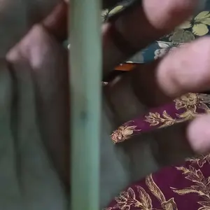 Ayunan Burung Tulsap Panjang 1213 cm untuk Keseharian Anda