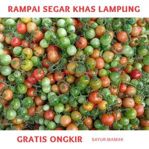 Rampai Khas Lampung Segar dan Higienis 500gr