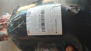 Product Review of Boneka Kucing Lying Rebah Ukuran 1 Meter - Toys (1 Buah) from ༄**࿐ 0