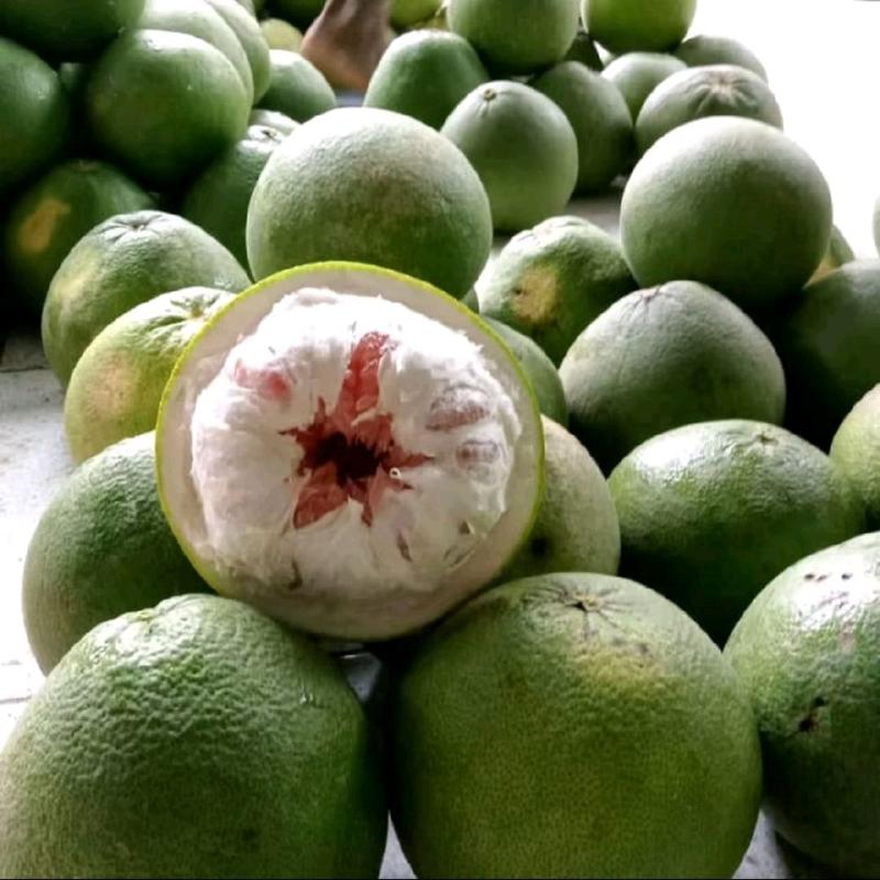 jeruk pamelo madu pati 8-9ons manis no asem,kecut, tanpa biji 1