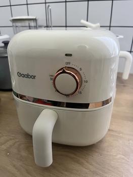 Product Review of [119RM]Gaabor 2L Mini Air Fryer+1.5L Multifunctional Cooker Food from F**r S**q 1