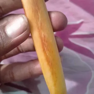 Tuljah Original Panjang 8 Centimeter - Kualitas Istimewa dan Mutu Asli