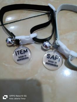 Product Review of Kalung Kucing Bahan Kulit Bisa Costum Nama from u**s 0