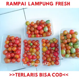 1kg Buah Rampai/Cung Khas Lampung Untuk Sambal Asam Segar