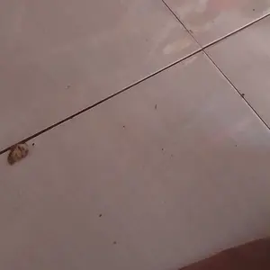 30 PCS Stiker Tato Temporer Grosir 6x10cm Halal Tanpa Bekas Symbol ular love cherry butterfly salib bunga kupu kupu kunci bulan HHT