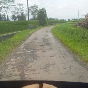 Rum2-Meja Belajar Anak Set Kursi Tinggi Dapat Diatur Meja Kursi Anak Dilengkapi Rak Buku Untuk Rumah Tangga Rumahan Tinggi Bisa Disesuaikan