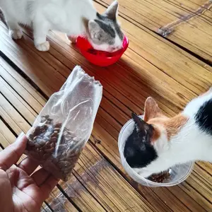 Makanan kucing bolt ikan 100GR paket hemat
