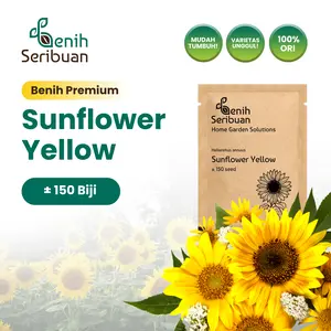 Benih Bunga Matahari Kuning Sunflower Yellow Unggul Premium - Benih Seribuan