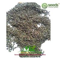 Gambar 1 Kg Biji Bibit Benih Sengon Solomon Super unggul dari PUROTANI.ID Kab. Purworejo 4 Tokopedia