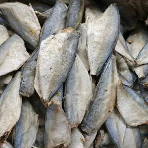 ikan asin peda buntung premium