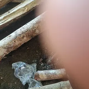 GP Pointer S Metal Detector Alat Pendeteksi Logam Detektor Emas Metal Perak Terpendam Deteksi BR094