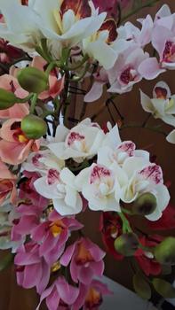 Product Review of Anggrek cymbidium artificial latek/Cimbidium Latek premium/1pcs Dekorasi Dekorasi from T**y 1