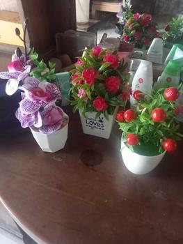 Product Review of Bunga Anggrek + Pot Bunga Hias Bunga Dekorasi from Y**k w**i 0