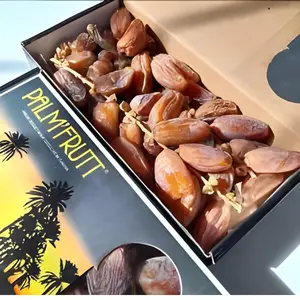 Kurma Palm Frutt Tangkai Tunisia 500 Gram