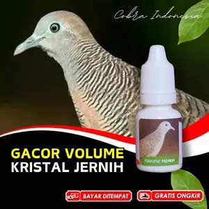Vitamin Burung Perkutut