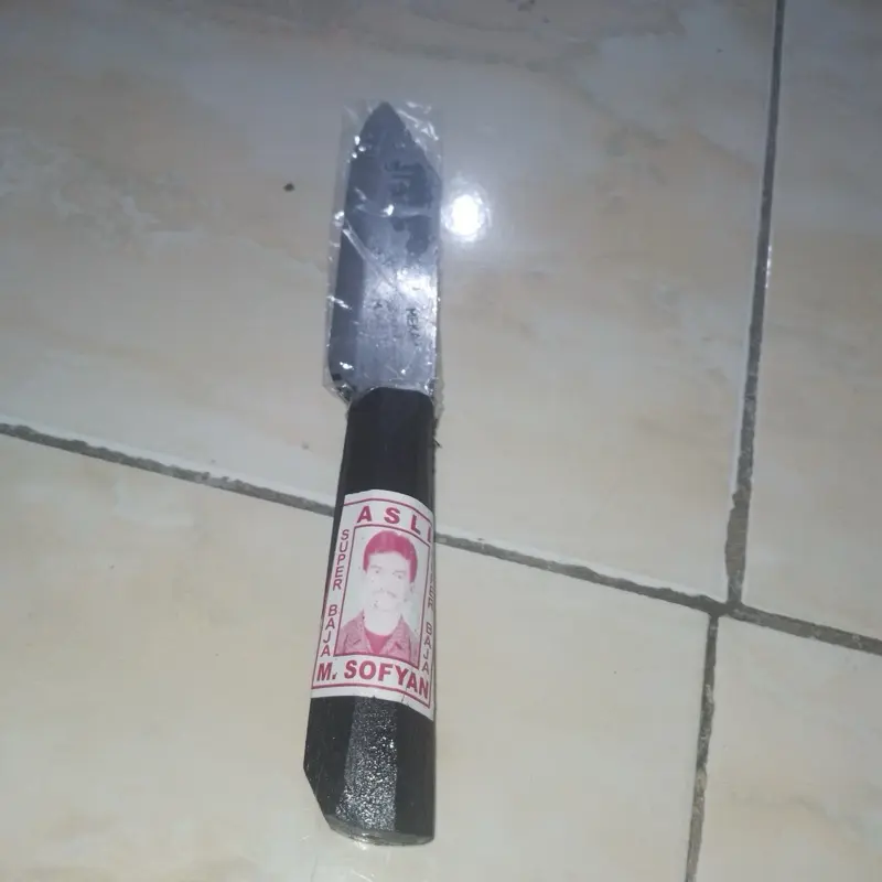 Pisau kupas nanas SOFYAN pisau pemotong pisau dapur