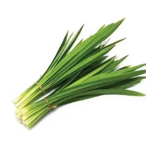 Daun Pandan Segar Cocok untuk Penyedap Makanan