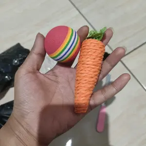 (Harga 1 Biji) Wortel Mainan Hewan Peliharaan Kucing Anjing Mainan Gigitan untuk Kucing Anjing Bahan Paper Rope