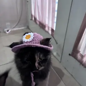 topi rajut kucing anjing kelinci  cempe anak kambing bucket hat anjing kucing topi pororo viral