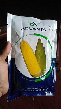 Product Review of Benih Jagung Manis MADU-59 F1 isi 250gr dari ADVANTA from u**3 0