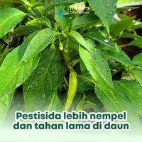 Gambar INFARM - Paket Pestisida Nabati Organik 500 ml dan Eco Grip Perekat Pestisida Lebih Nempel & Efektif - Paket Pestisida 500ml dari Infarm Kota Surabaya 3 Tokopedia