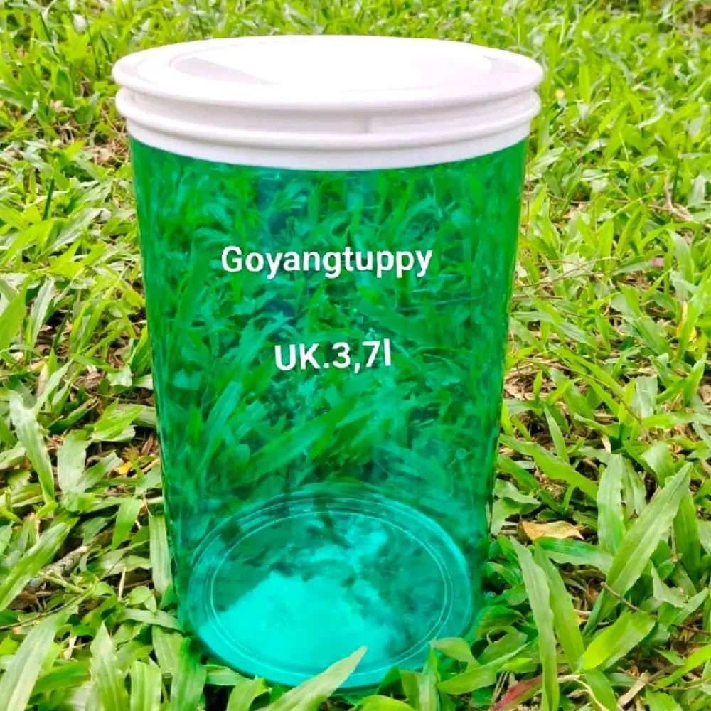 jolly keeper 3.7L hijau tosca