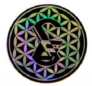 Sixth Element ST-X #D Quantum Sticker 15mm Negative Ion Mobile - TikTok ...