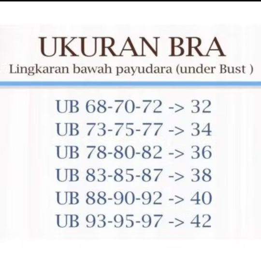 bra renda wanita tanpa kawat busa tipis model brukat elastis size 34-42 busa Tipis Cantik Nyaman