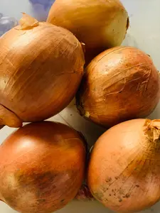 Bawang Bombay Bulat 500Gr - 1 Kg Untuk Grill Bbq