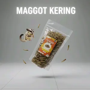 Dry Maggot/maggot BSF Maggot Kering Protein Tinggi untuk Sugar Glider,Hamster, Arwana Dll