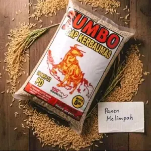 1KG Benih padi INPARI 32 PD JUMBO kemasan 1kg bibit berkualitas