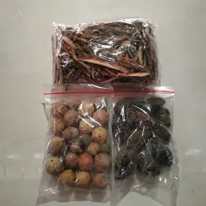 Tempuyang,Manjakani,Kayu rapet paket 3 in 1 Berat 150 gram