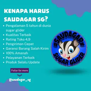 Bonding Pouch Sugar Glider/Travel Pouch Sugar Glider