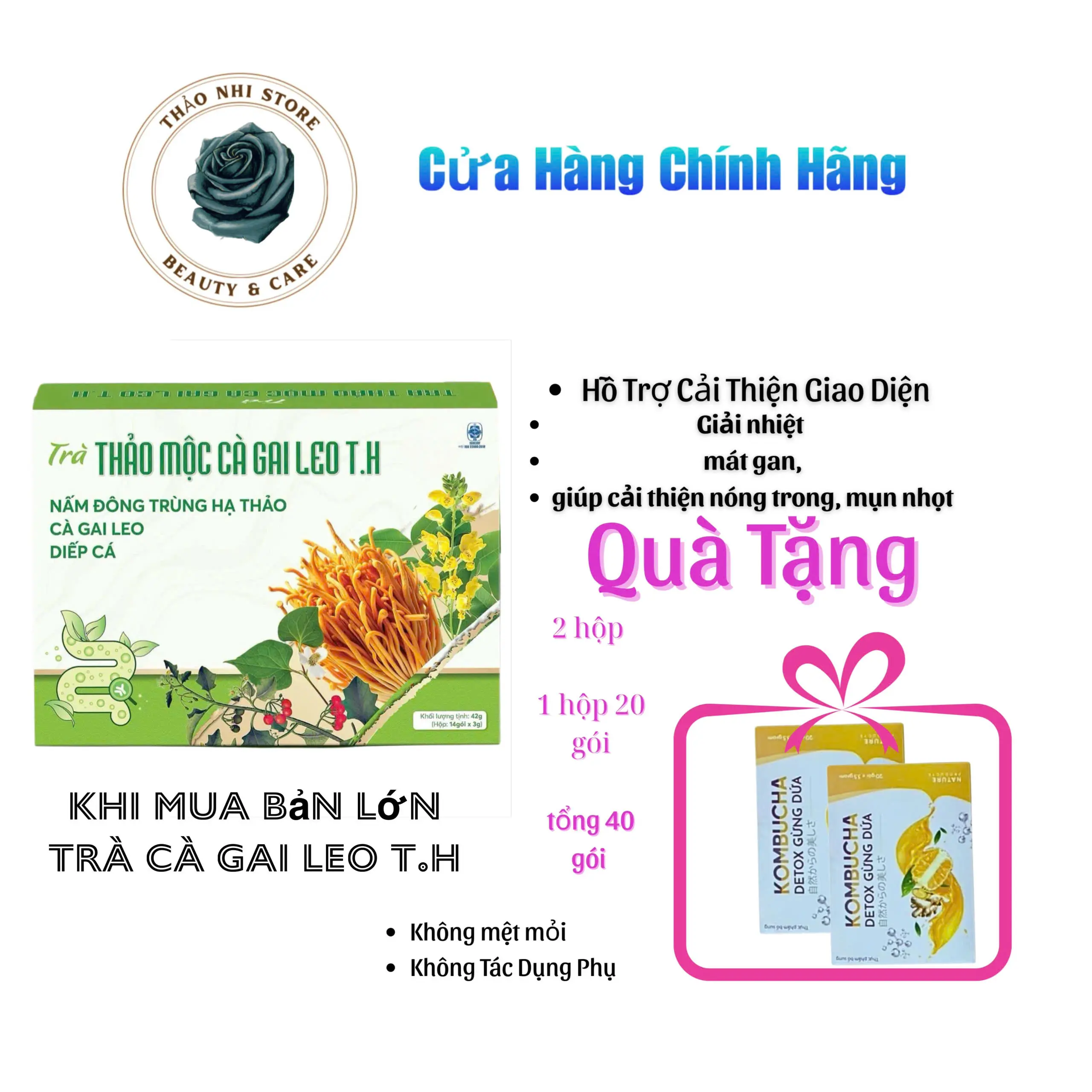 Trà Cà Gai Leo  Phan Tả Diệp thanh Lọc Tự Nhiên Dễ Dùng, tặng kèm trà gừng dứa GMB nhẹ nhàng từng gụm _Thực Phẩm Bổ Sung Sức Khỏe Chăm Sóc Sắc Đẹp