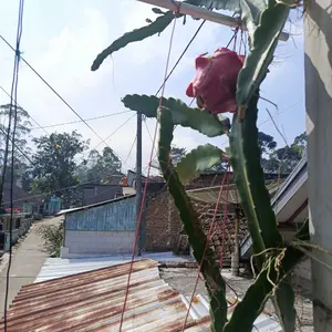 1set Pelipit karet kaca luar Civic FD 2006 2007 2008 2009 2010 2011 List door molding kaca pintu bagian luar Car