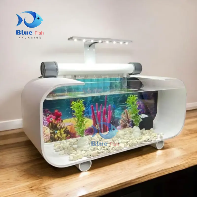 Aquarium minimalis full set lengkap Akuarium akrilik lengkap dengan mesin pompa filter sirkulasi dan lampu aquarium (P-002) 2