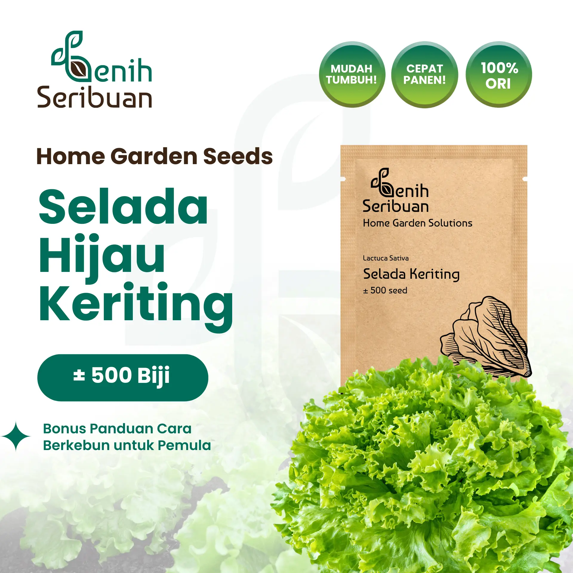Benih Selada Hijau - Benih Sayuran Seribuan
