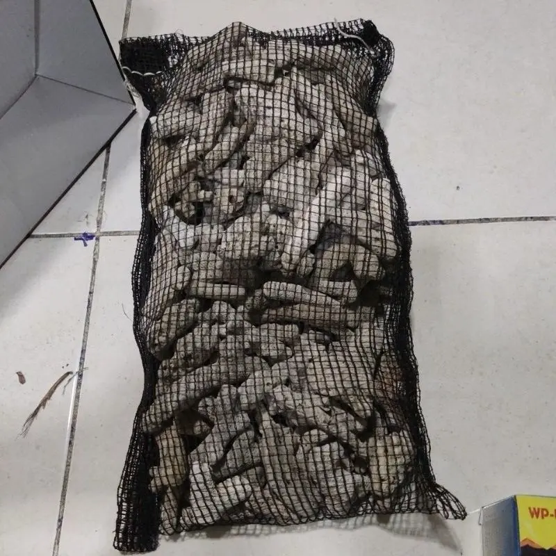 2kg karang jahe mantap media filter aquarium kolam aquascape oister oester oyster batu gombong apung ziolite zeoilte
