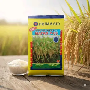 KEMASAN 1Kg BENIH PADI HIBRIDA F-1 MAPAN P 05 UNGGUL BERKUALITAS