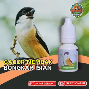 Vitamin Burung Cendet Gacor