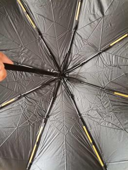 Product Review of Feather Pattern Folding Sunshade, Rainproof And Windproof  UV Automatic from a**2 0