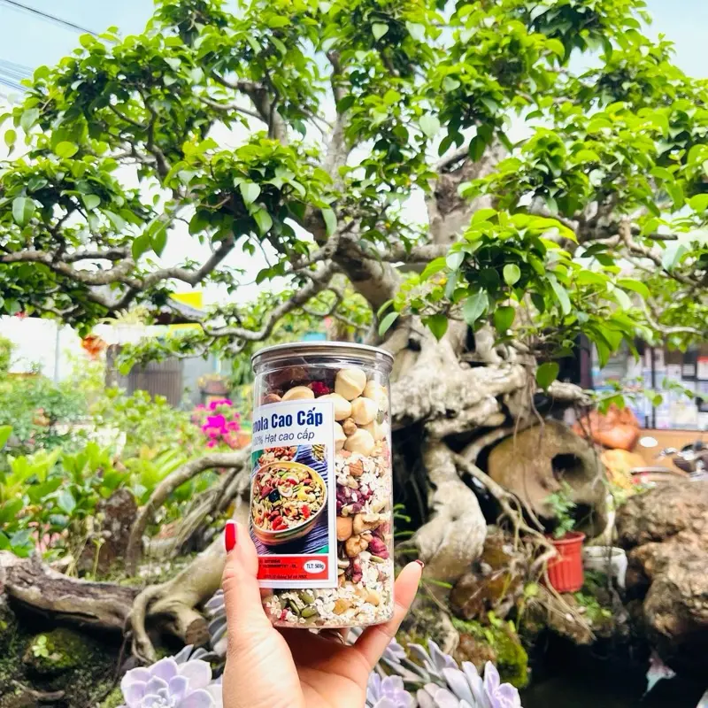 Granola có yến mạch  ( hũ 500g )( có trái cây sấy ) 0
